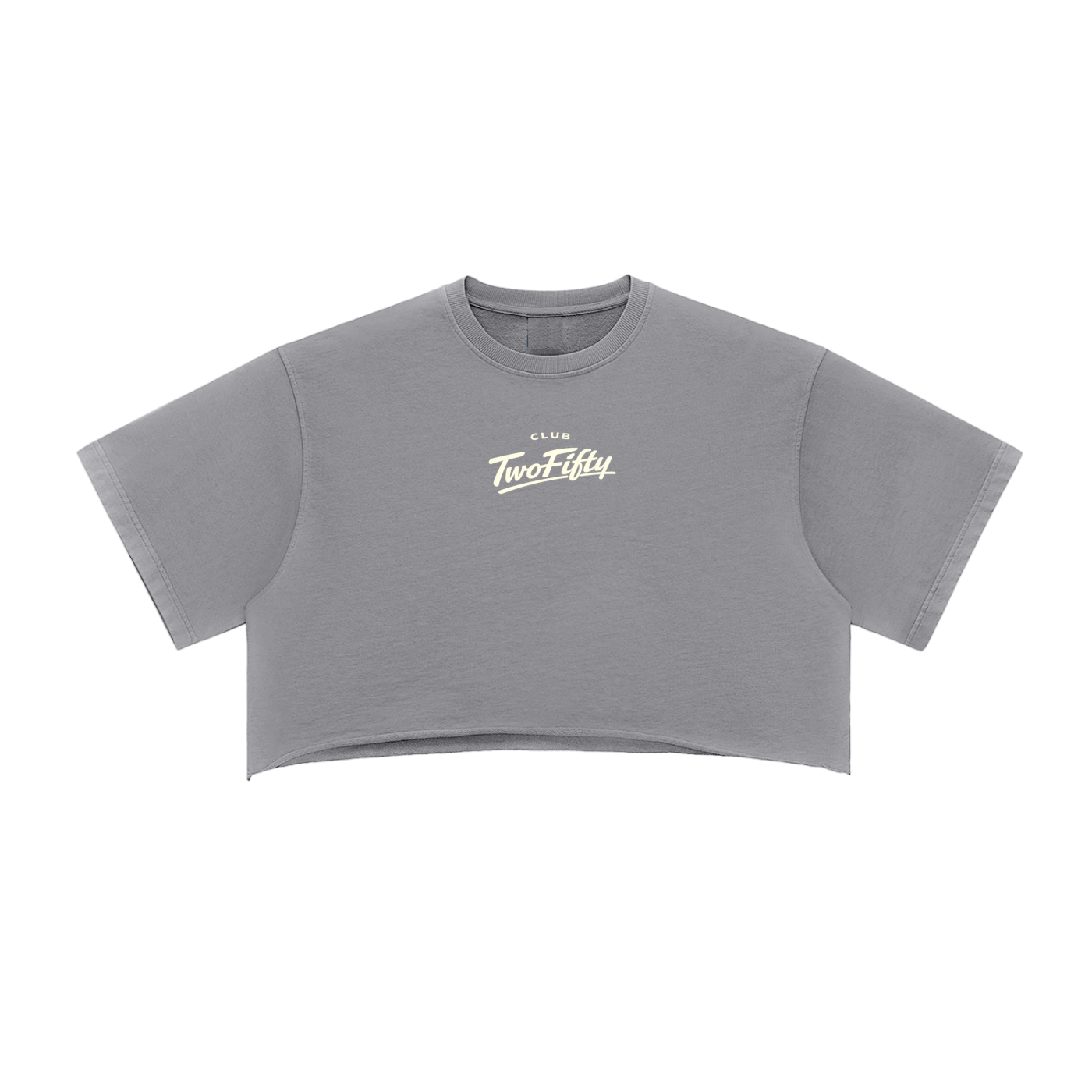 Snow Washed Raw Edge Crop Top